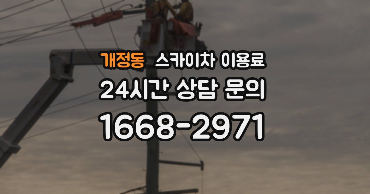 개정동 스카이차 이용료