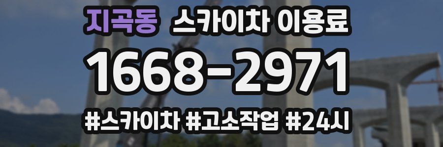 지곡동 스카이차 이용료