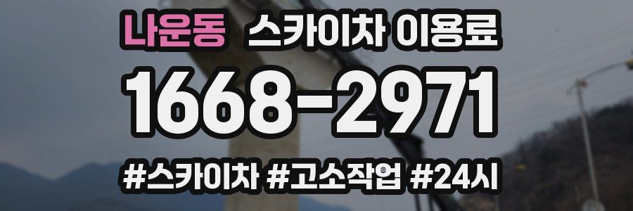 나운동 스카이차 이용료