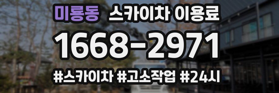 미룡동 스카이차 이용료