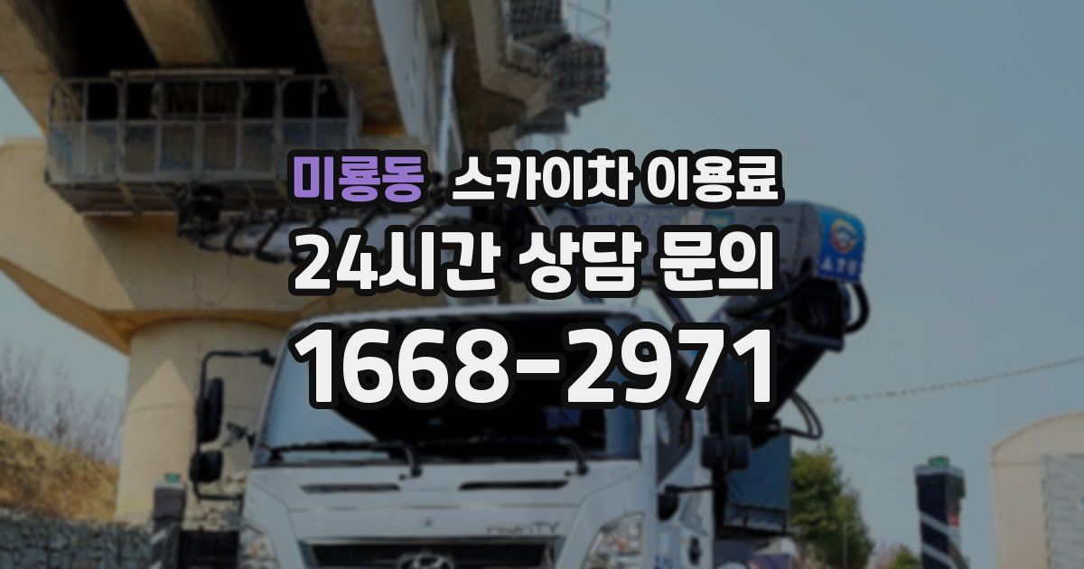 미룡동 스카이차 이용료