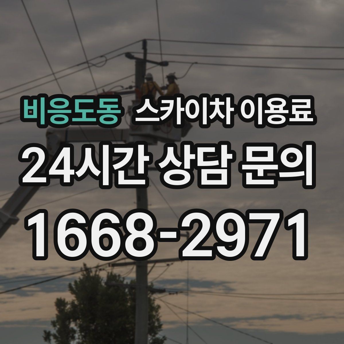 비응도동 스카이차 이용료 문의 전 확인하면 좋은 준비 자료