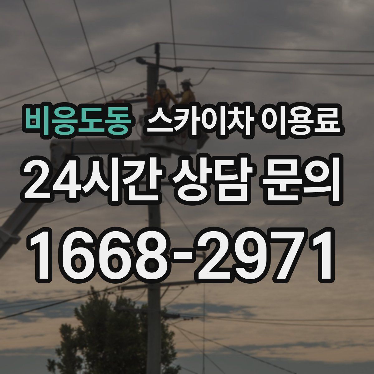 비응도동 스카이차 이용료