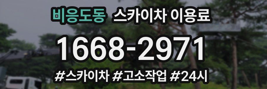 비응도동 스카이차 이용료