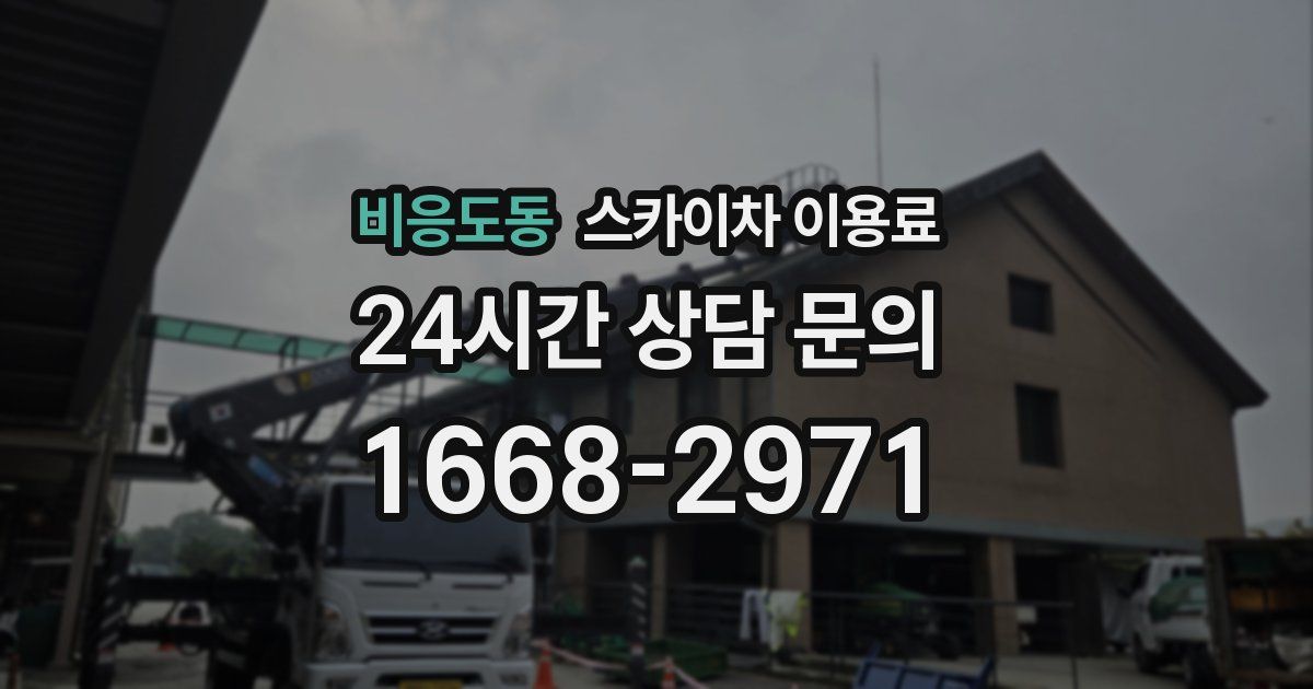 비응도동 스카이차 이용료