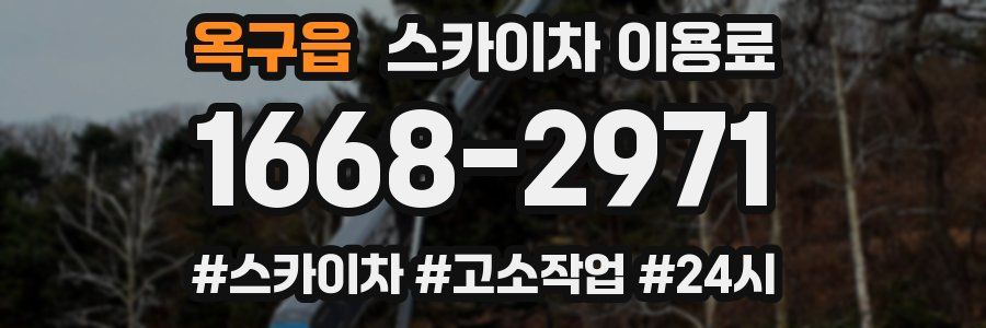 옥구읍 스카이차 이용료