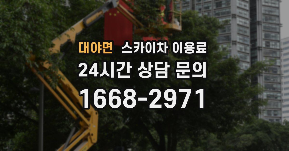 대야면 스카이차 이용료