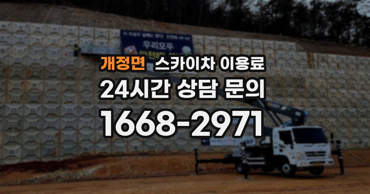 개정면 스카이차 이용료