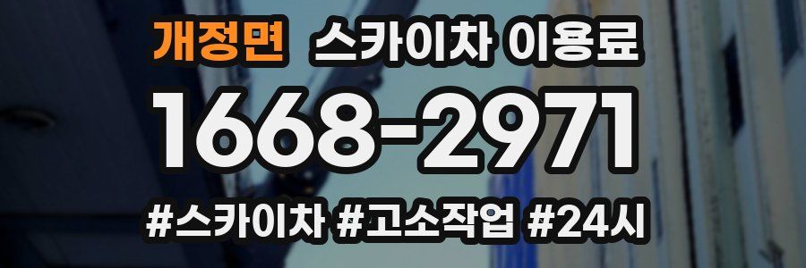 개정면 스카이차 이용료