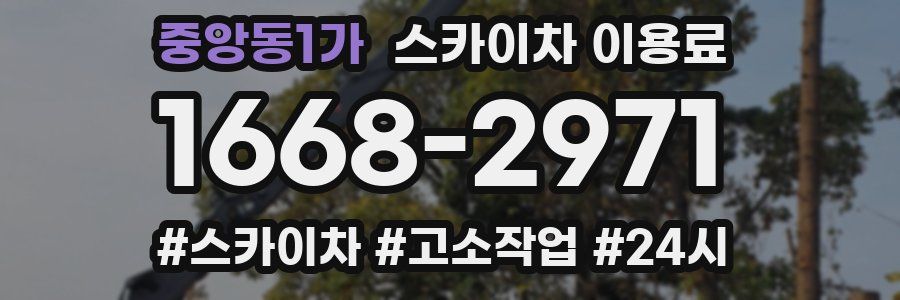 중앙동1가 스카이차 이용료