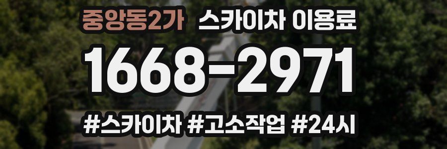중앙동2가 스카이차 이용료
