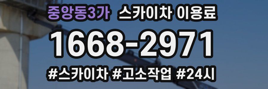 중앙동3가 스카이차 이용료