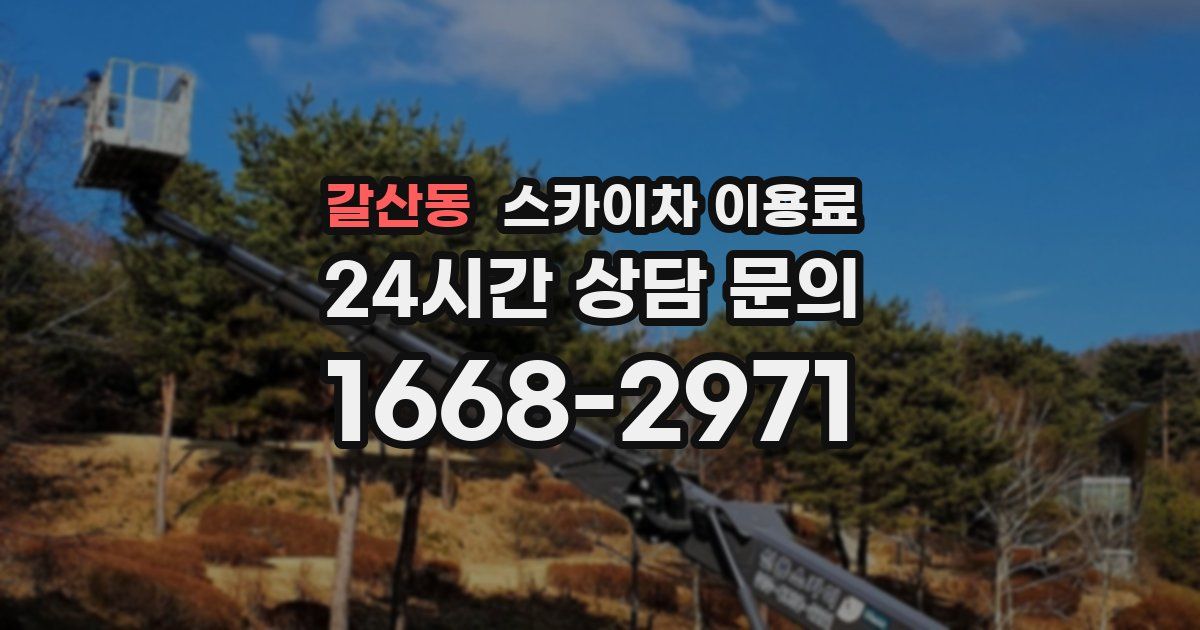 갈산동 스카이차 이용료