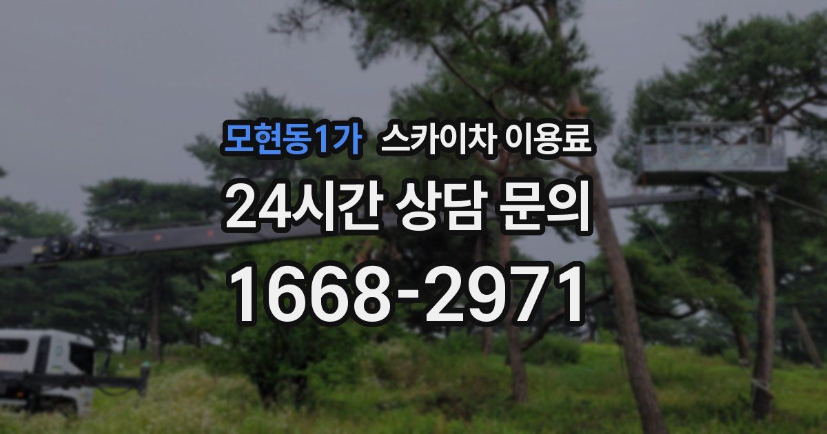 모현동1가 스카이차 이용료