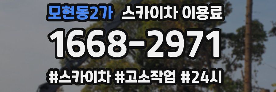 모현동2가 스카이차 이용료