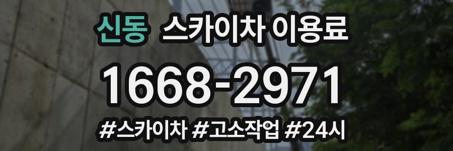 신동 스카이차 이용료
