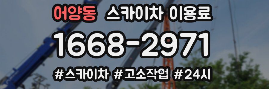 어양동 스카이차 이용료