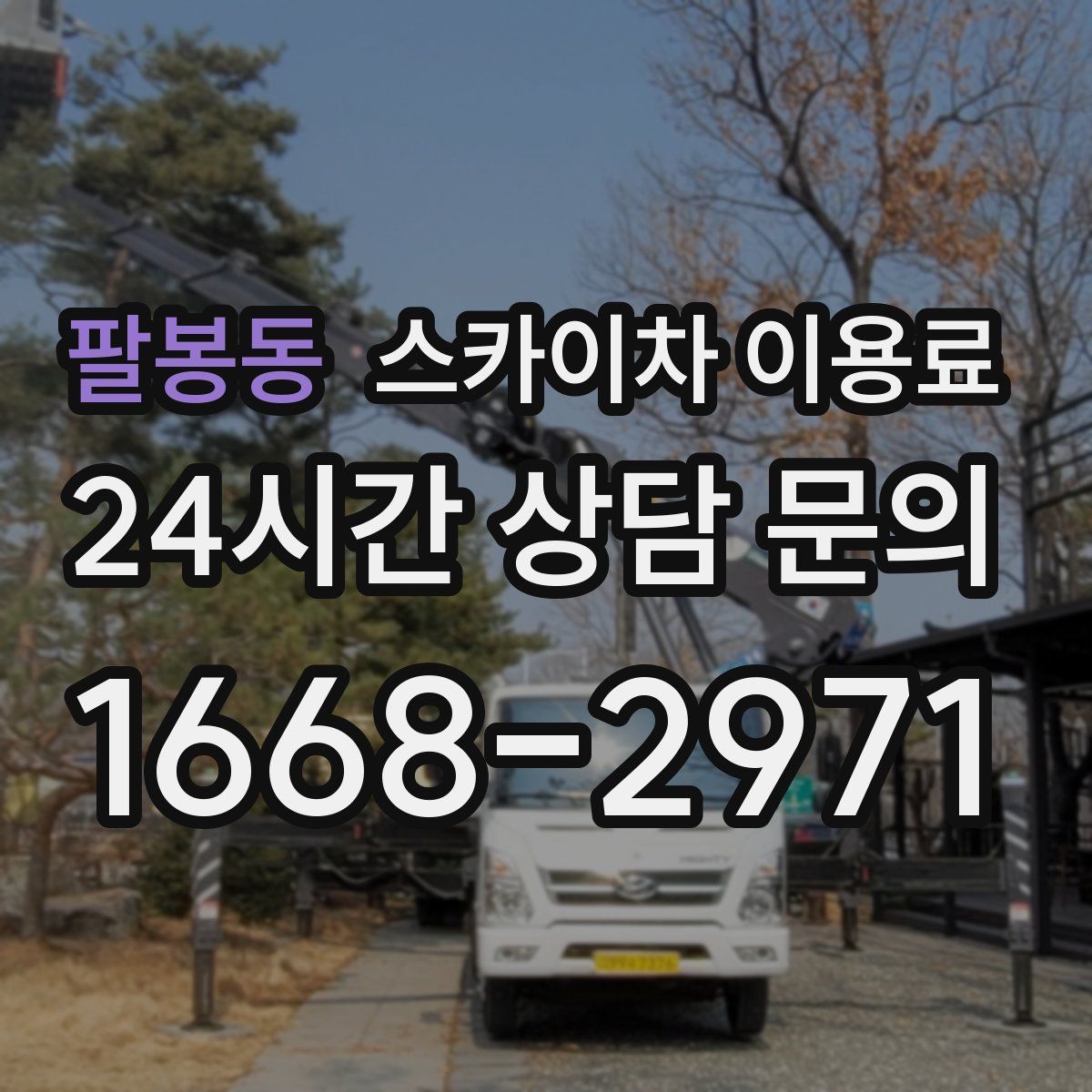 팔봉동 스카이차 이용료