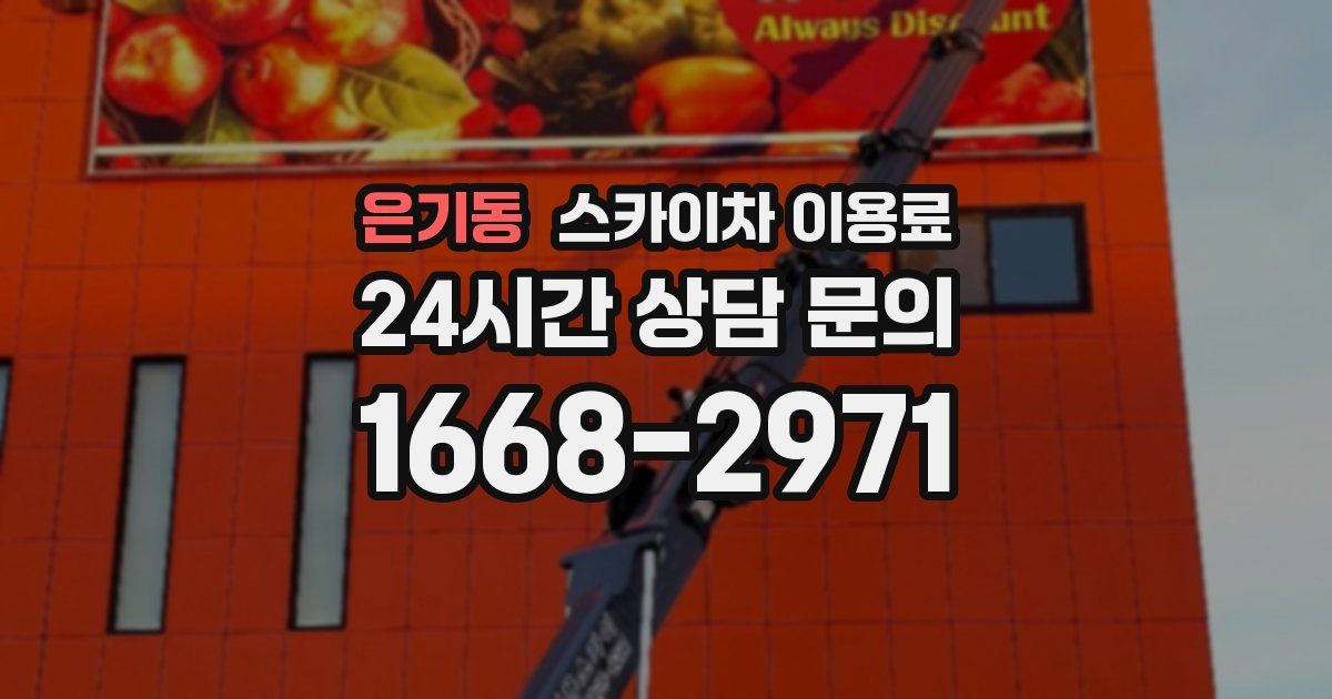 은기동 스카이차 이용료
