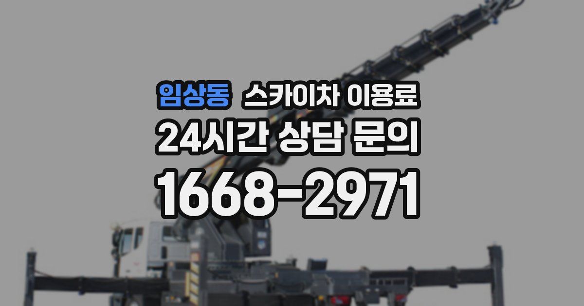 임상동 스카이차 이용료