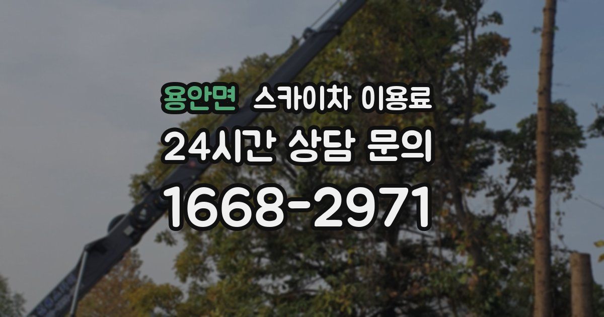 용안면 스카이차 이용료