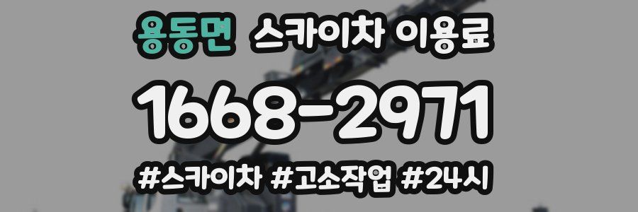용동면 스카이차 이용료