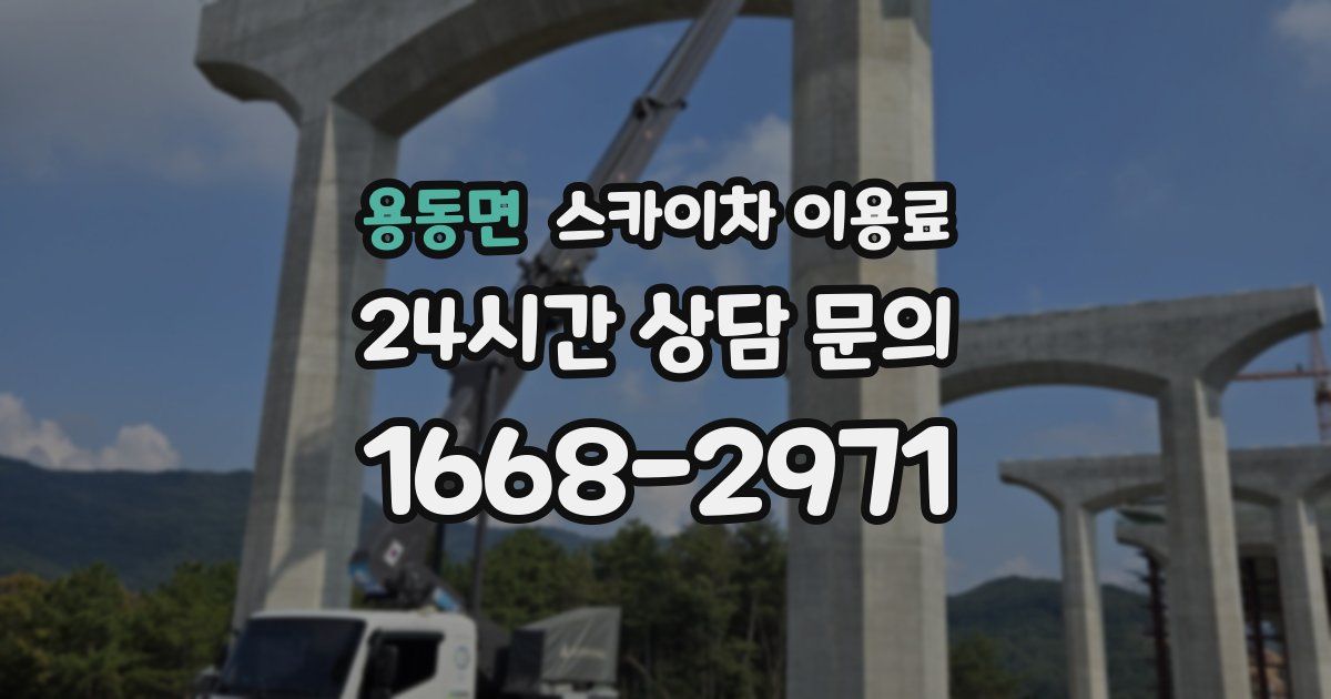 용동면 스카이차 이용료