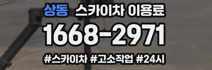상동 스카이차 이용료