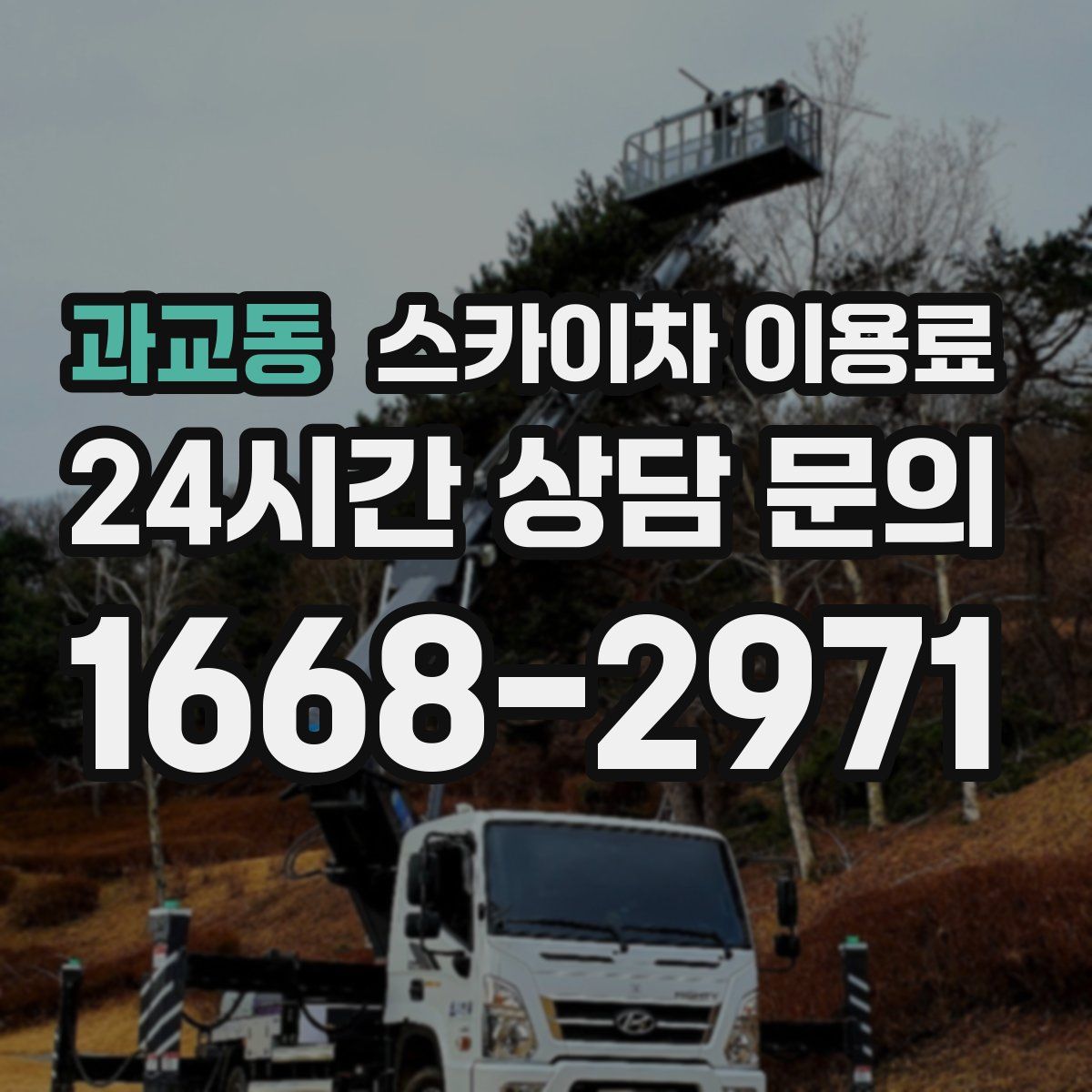 과교동 스카이차 이용료