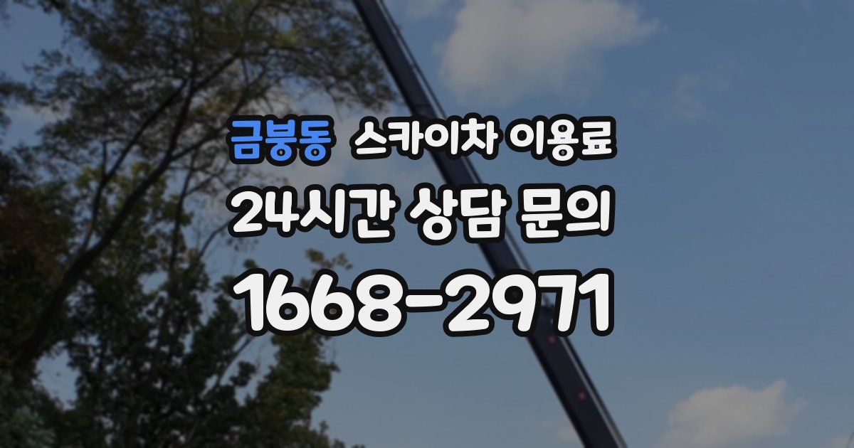 금붕동 스카이차 이용료