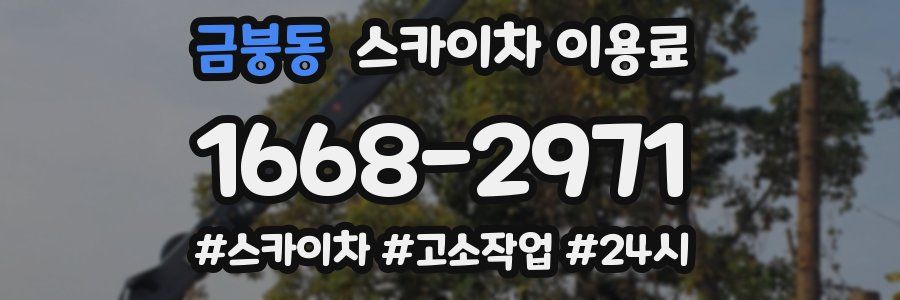 금붕동 스카이차 이용료
