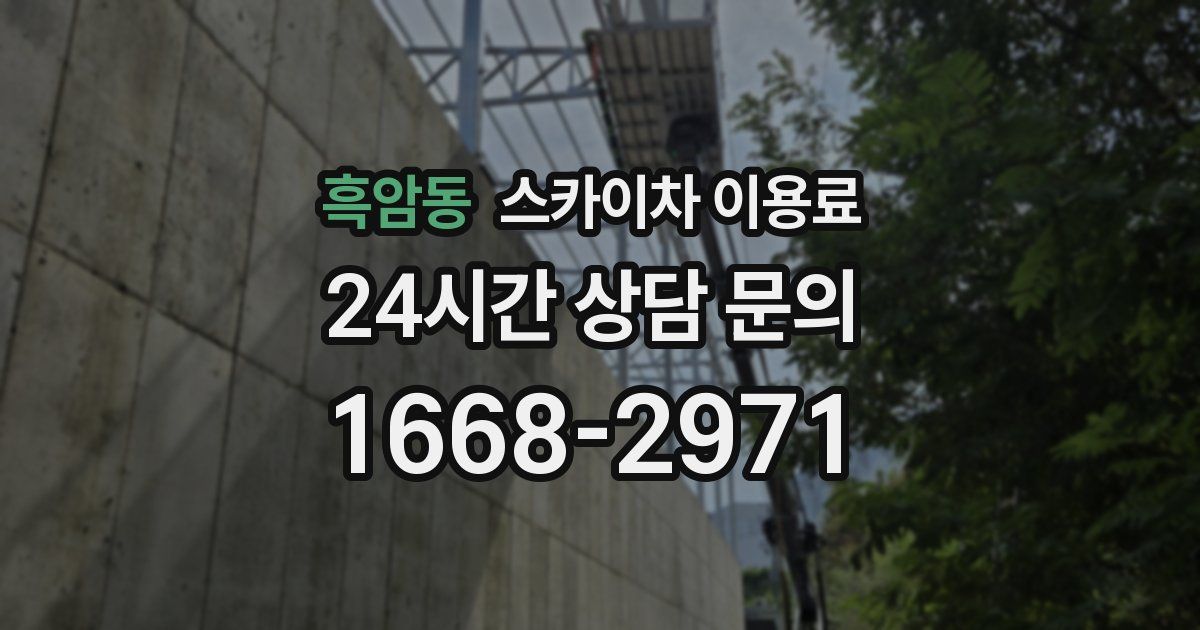 흑암동 스카이차 이용료