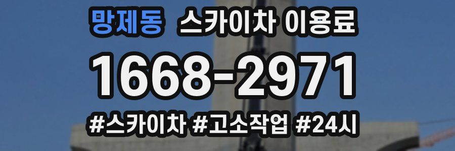 망제동 스카이차 이용료