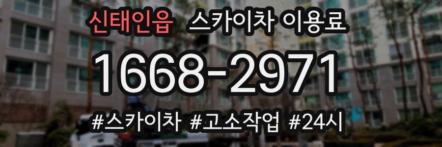 신태인읍 스카이차 이용료