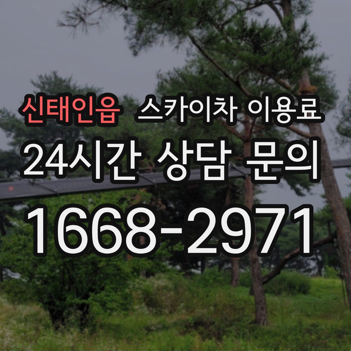 신태인읍 스카이차 이용료