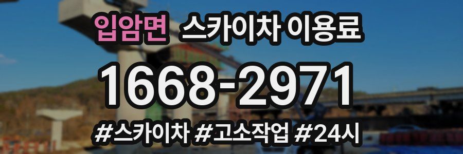 입암면 스카이차 이용료