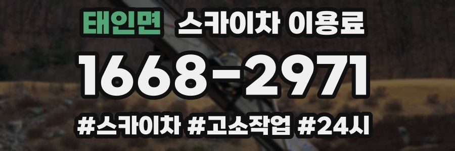 태인면 스카이차 이용료