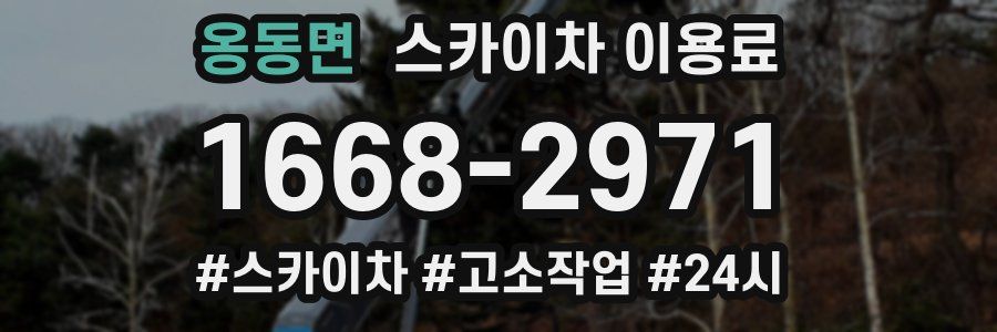 옹동면 스카이차 이용료