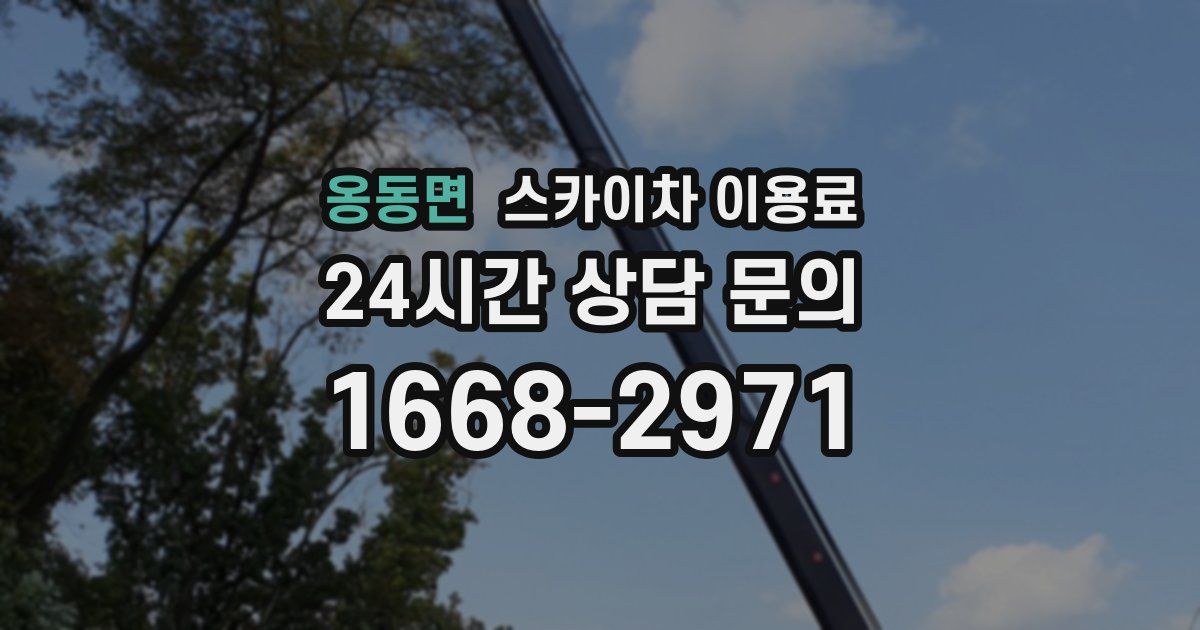 옹동면 스카이차 이용료