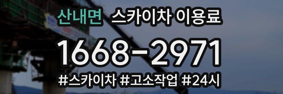 산내면 스카이차 이용료