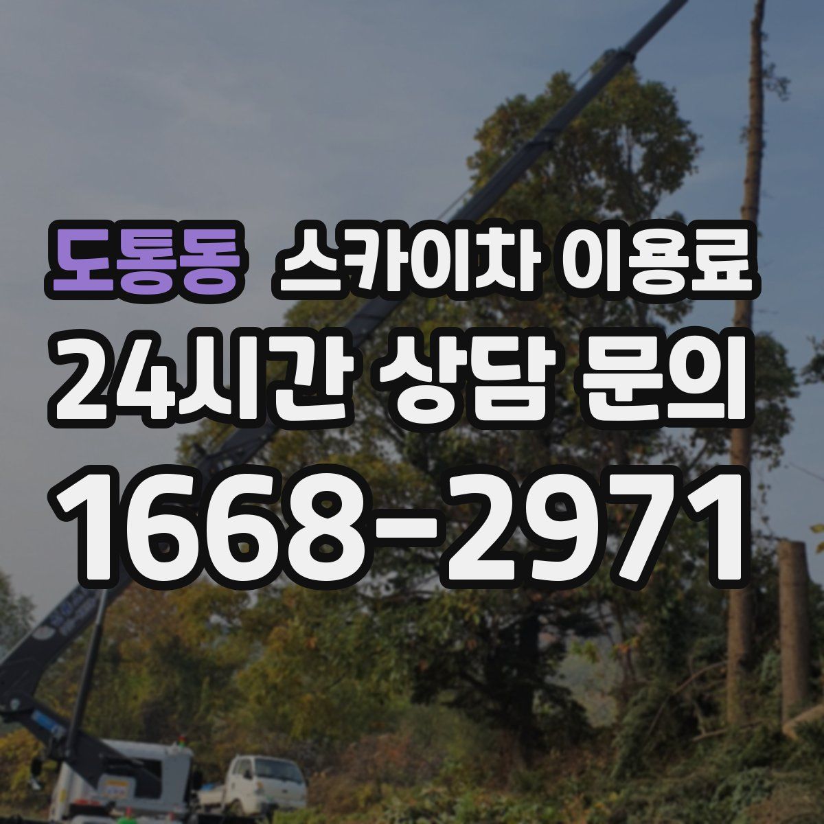 도통동 스카이차 이용료