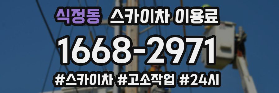 식정동 스카이차 이용료