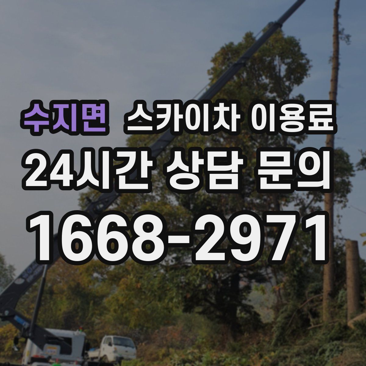 수지면 스카이차 이용료