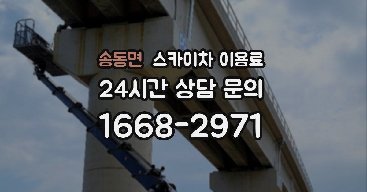 송동면 스카이차 이용료