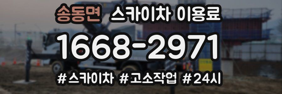 송동면 스카이차 이용료