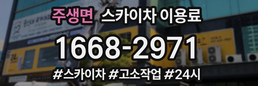 주생면 스카이차 이용료