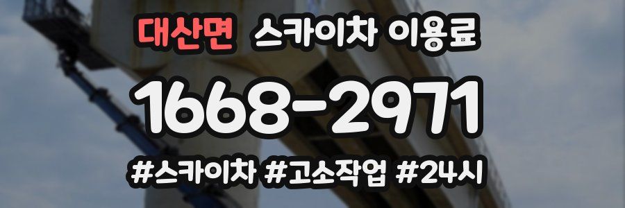 대산면 스카이차 이용료