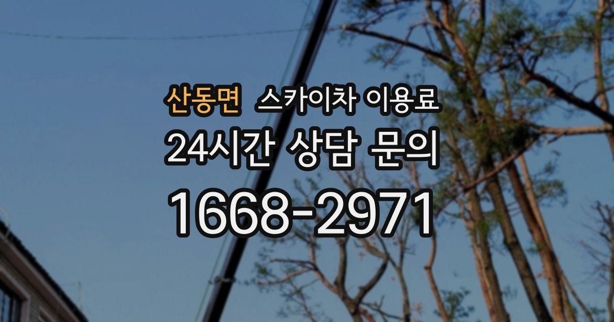 산동면 스카이차 이용료