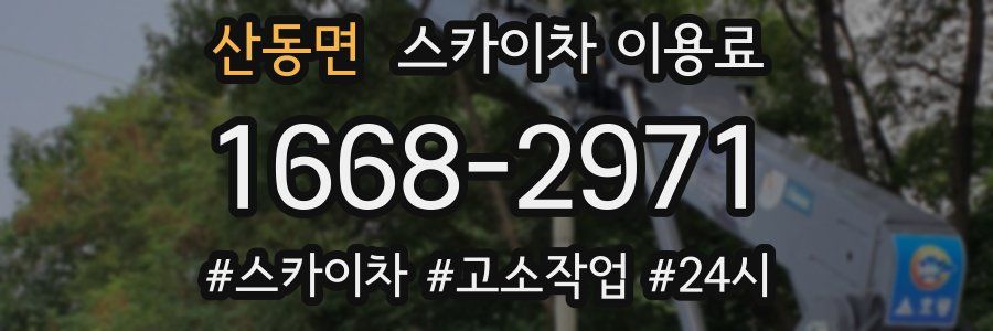 산동면 스카이차 이용료
