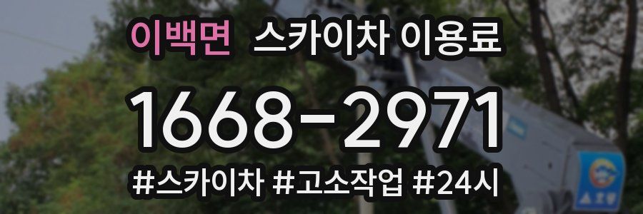 이백면 스카이차 이용료